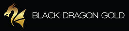 Black Dragon logo