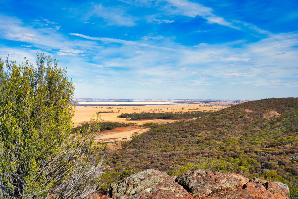 View over forested hills